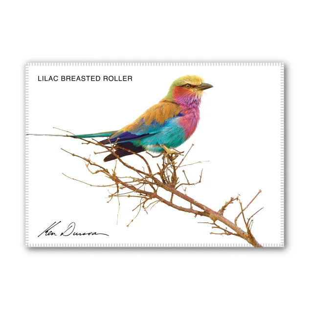 Lilac Breasted Roller Tea Towel