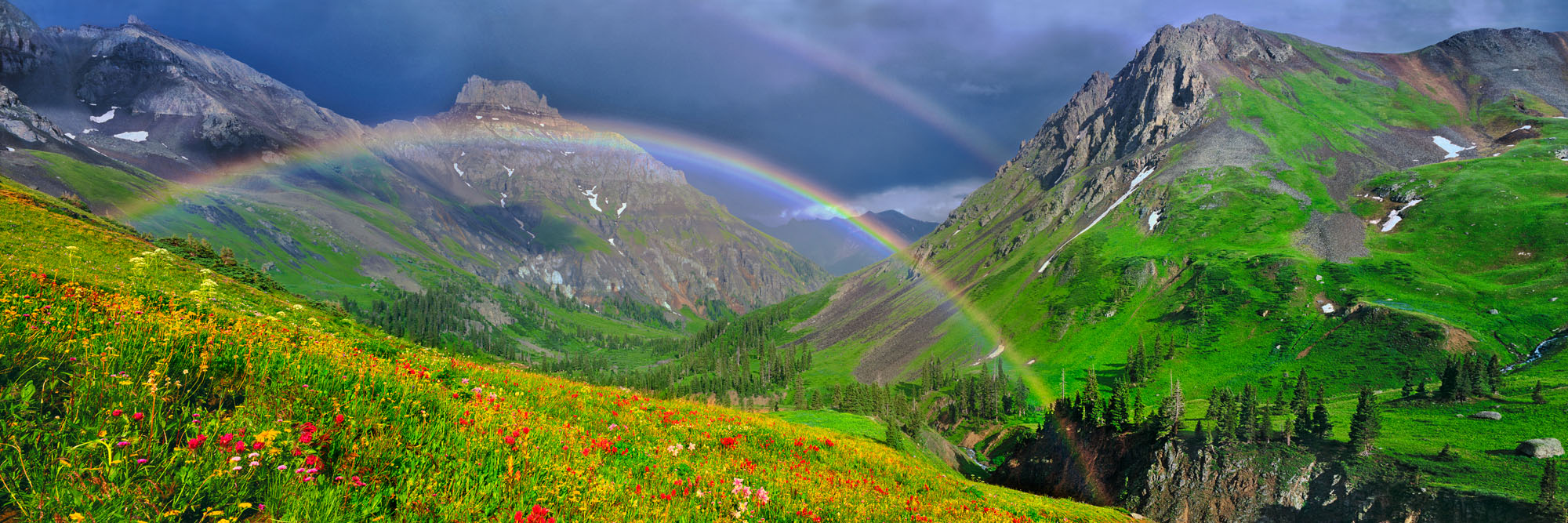 Promise of Peace, Co