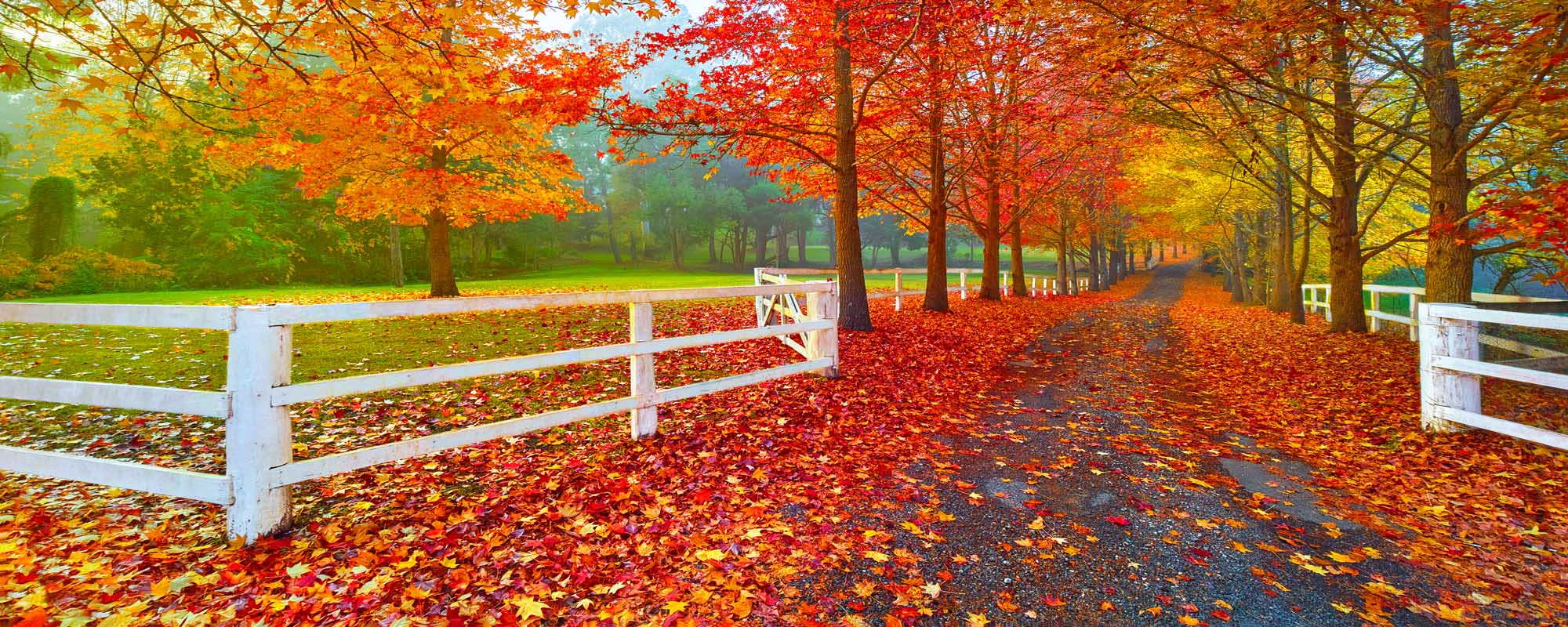 Beauty in Change
