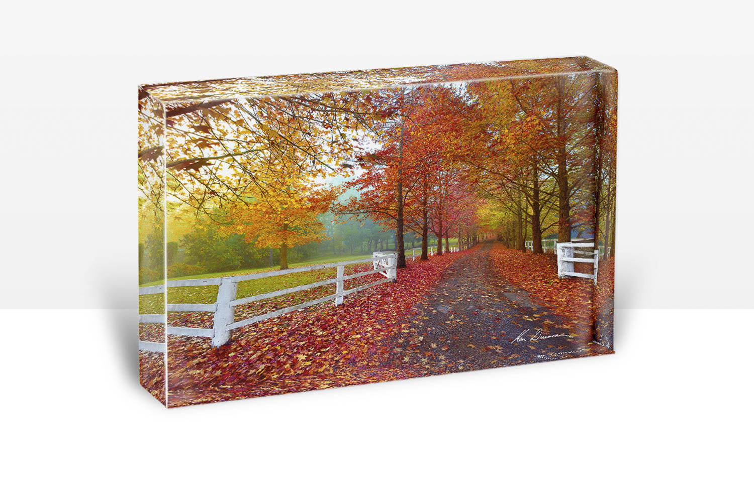 Pb - Autumn Symphony (30 X 20)
